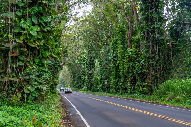 Traveling in Kauai: Can I Stay in Kauai Without a Rental Car?